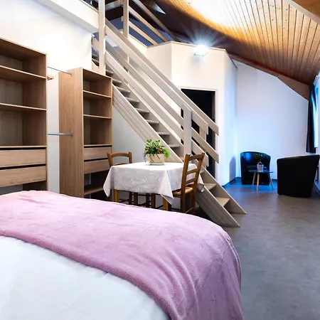 Hotel Hotel-restaurant Espace Squash 3000 *