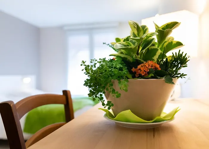 Hotel-restaurant Espace Squash 3000